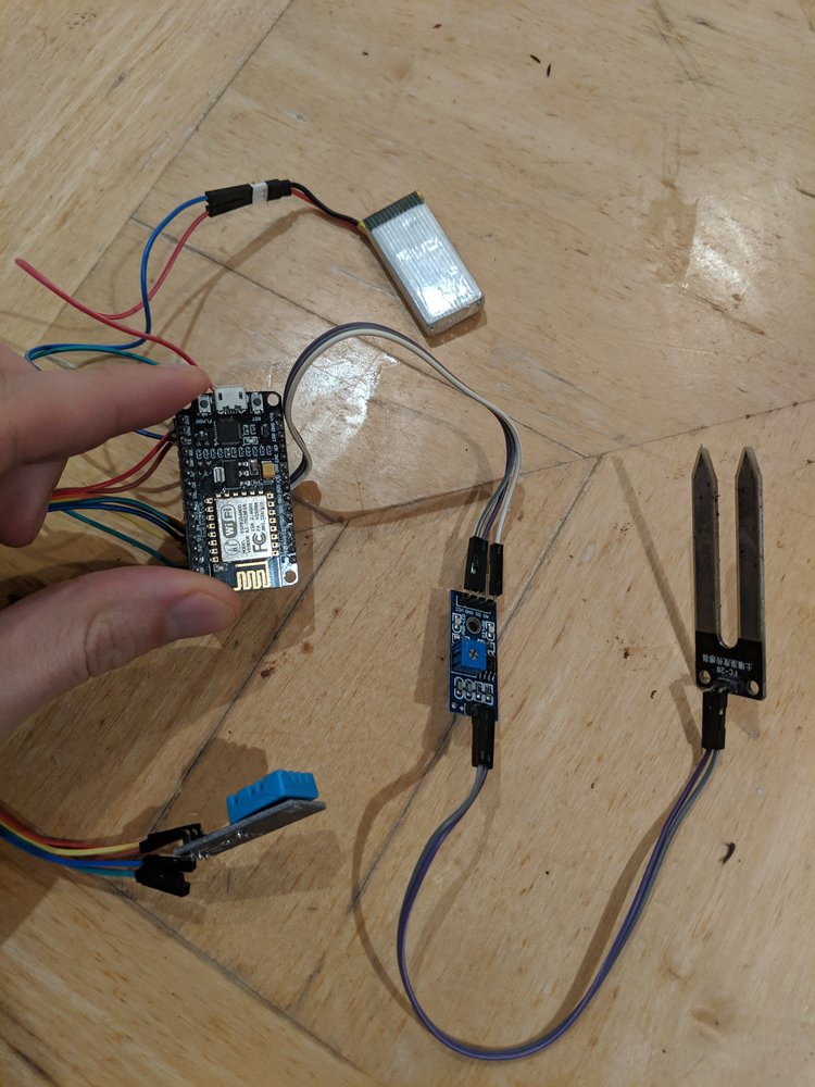 Creating my plant sensor